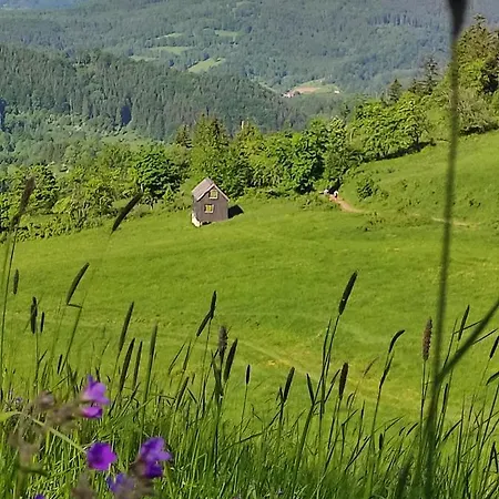 Gracja W Jedlinie Zdroj *