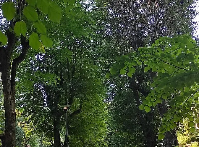 Gracja W Jedlinie Zdroj *