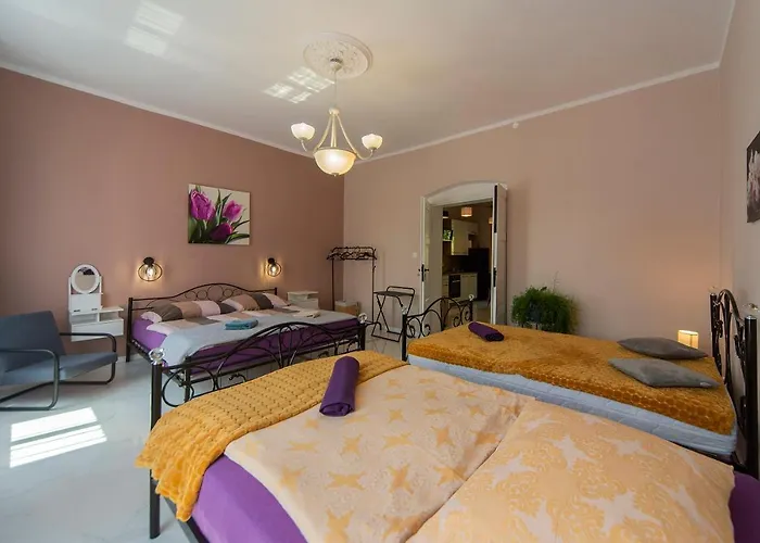 Gracja W Jedlinie Zdroj