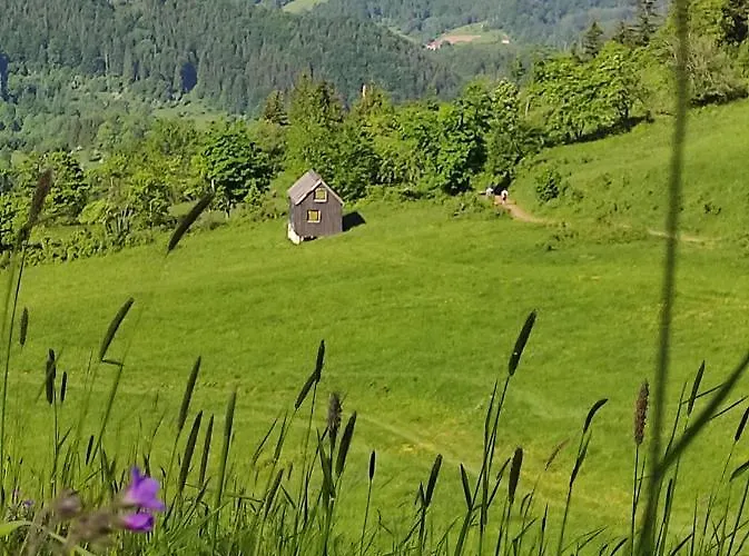 Gracja W Jedlinie Zdroj *